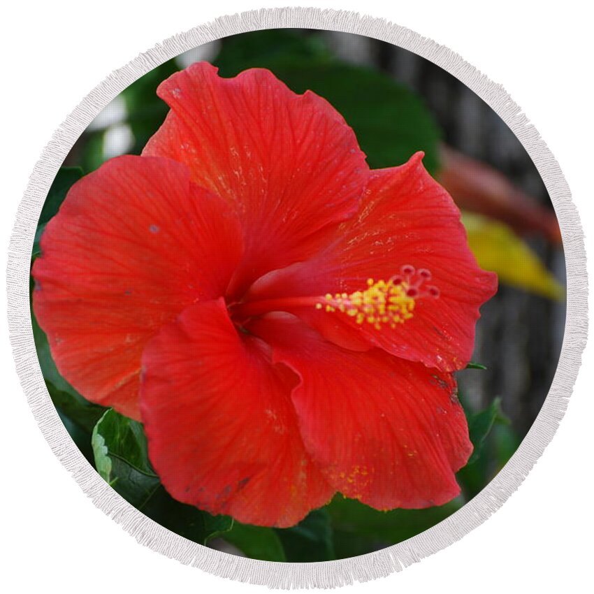 Flowers Round Beach Towel featuring the photograph Red Flower by Rob Hans