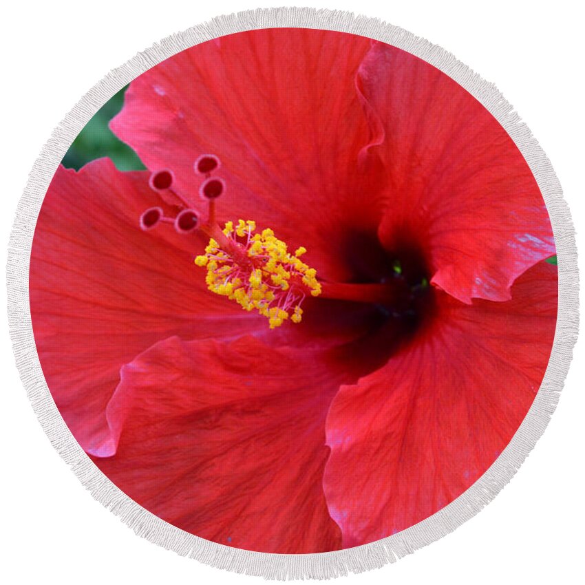 Flower Round Beach Towel featuring the photograph Red Hibiscus 1 by Amy Fose