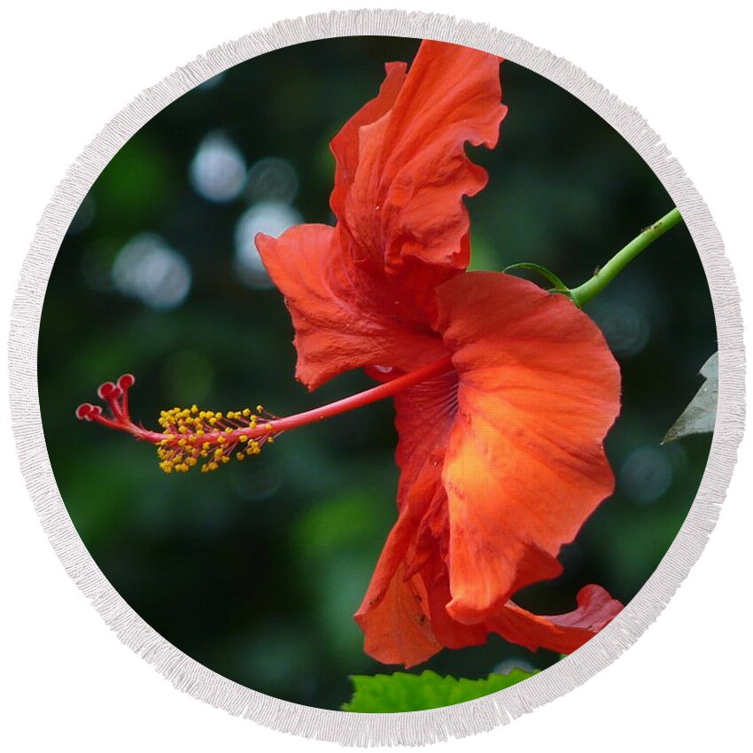 Flower Round Beach Towel featuring the photograph Red Hibiscus by Valerie Ornstein