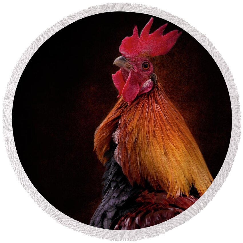 Red Jungle Fowl Round Beach Towel featuring the photograph Red Jungle Fowl Rooster by Diana Andersen