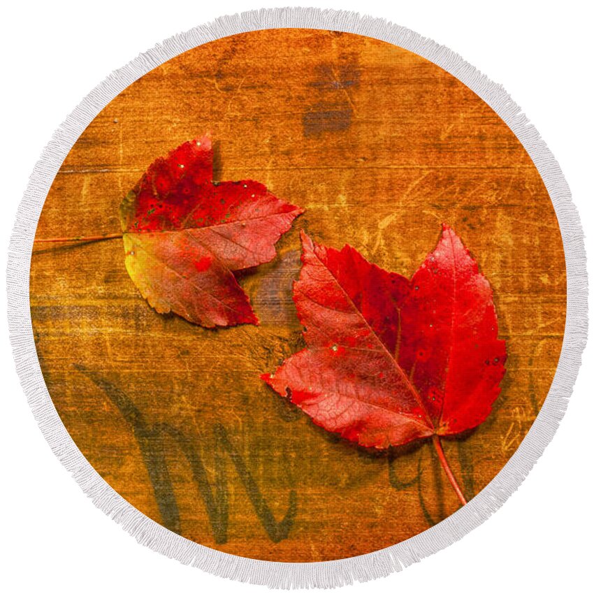Red Leaves On Wood Still Life Round Beach Towel featuring the photograph Red Leaves on Wood Still Life by Randy Steele
