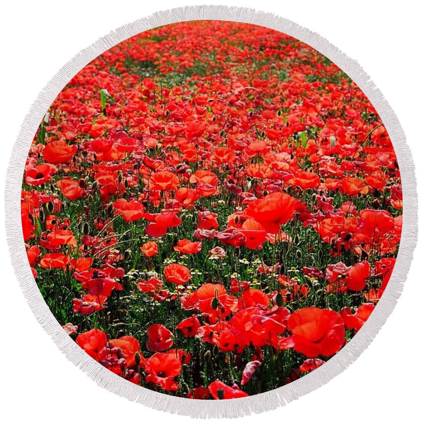 Flower Round Beach Towel featuring the photograph Red Poppies by Juergen Weiss