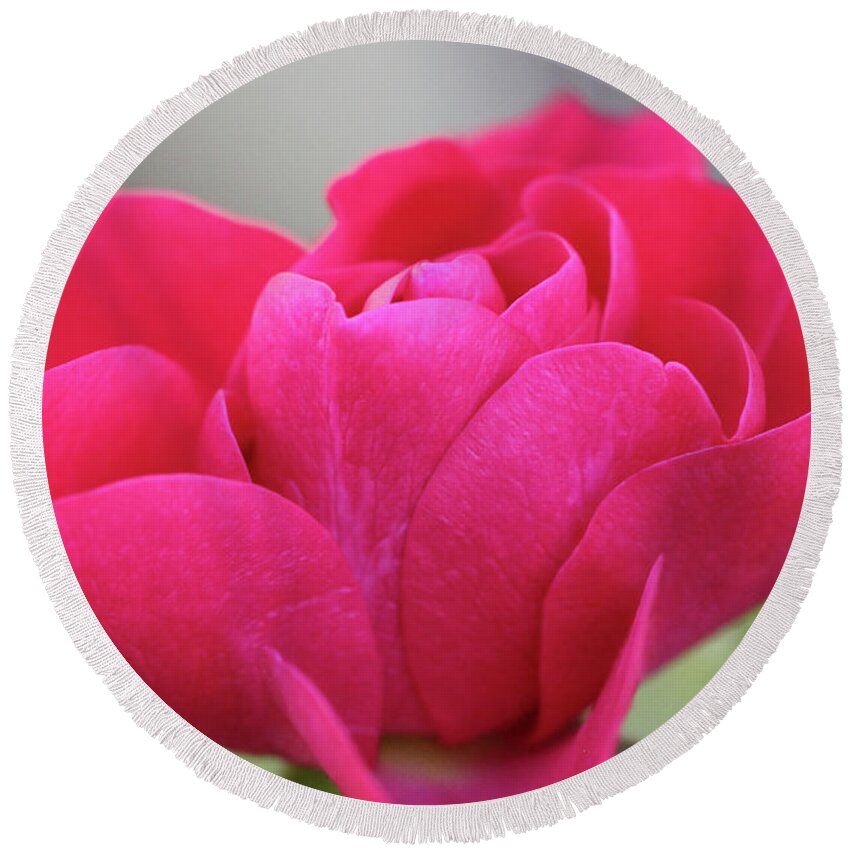 Landscape Round Beach Towel featuring the photograph Red Rose Close Up by Donna L Munro