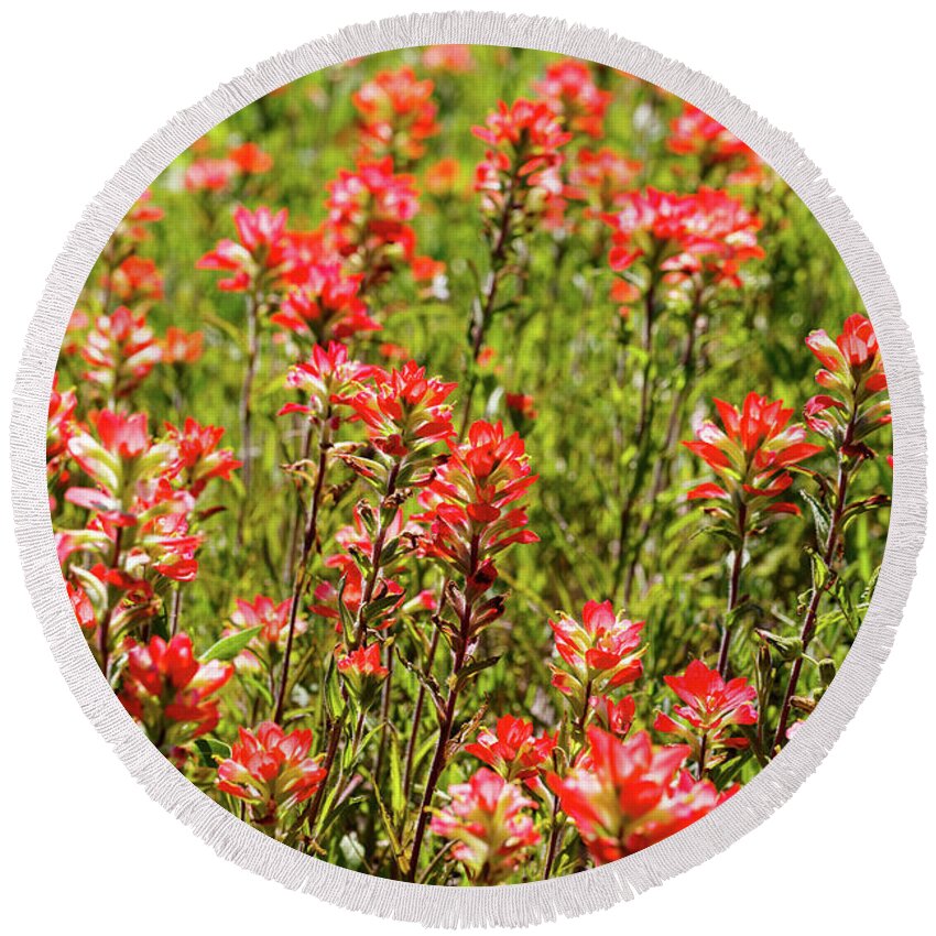 Austin Round Beach Towel featuring the photograph Red Texas Wildflowers by Raul Rodriguez