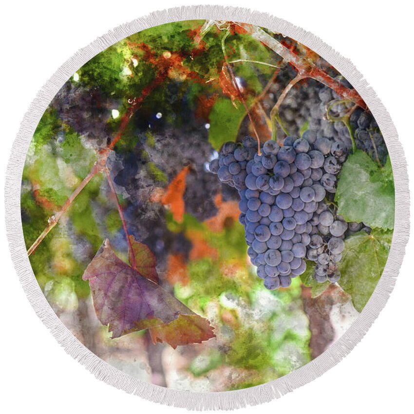 Red Wine Round Beach Towel featuring the photograph Red Wine Grapes on the Vine in Wine Country by Brandon Bourdages