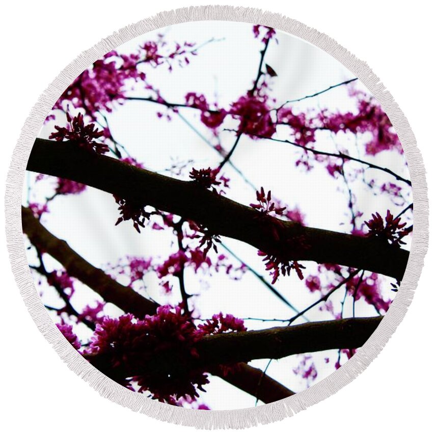 Photography Round Beach Towel featuring the photograph Redbud Blooming Branches by M E