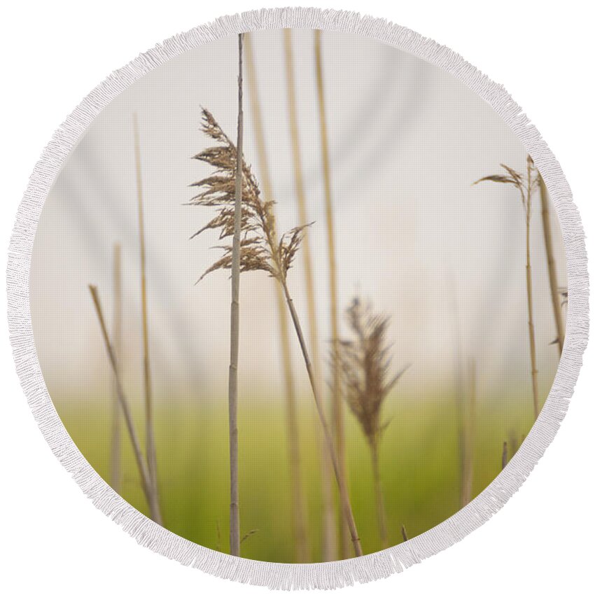 Minimalism Round Beach Towel featuring the photograph Reeds in the Mist III by Marianne Campolongo