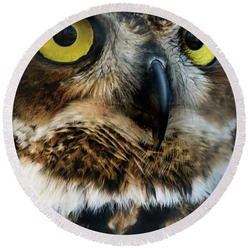 Owls Round Beach Towel featuring the photograph Reelfoot Lake Owls by Veronica Batterson