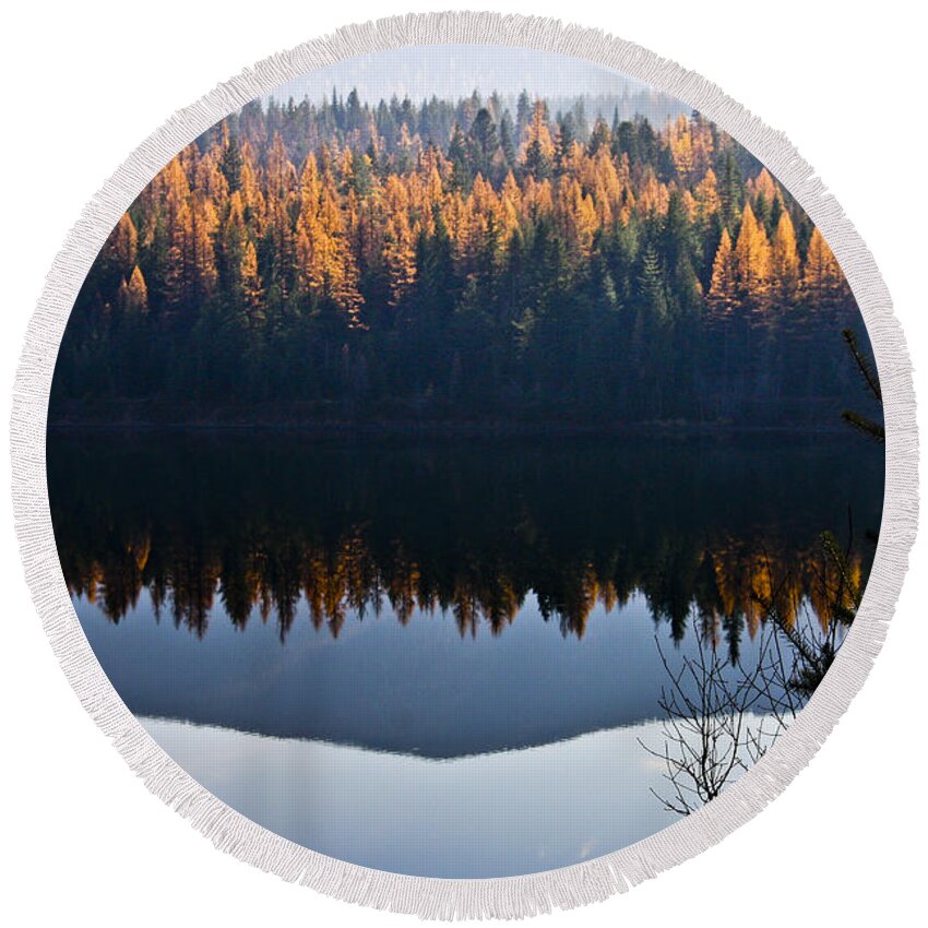 Tamarack Round Beach Towel featuring the photograph Reflecting on Autumn by Albert Seger