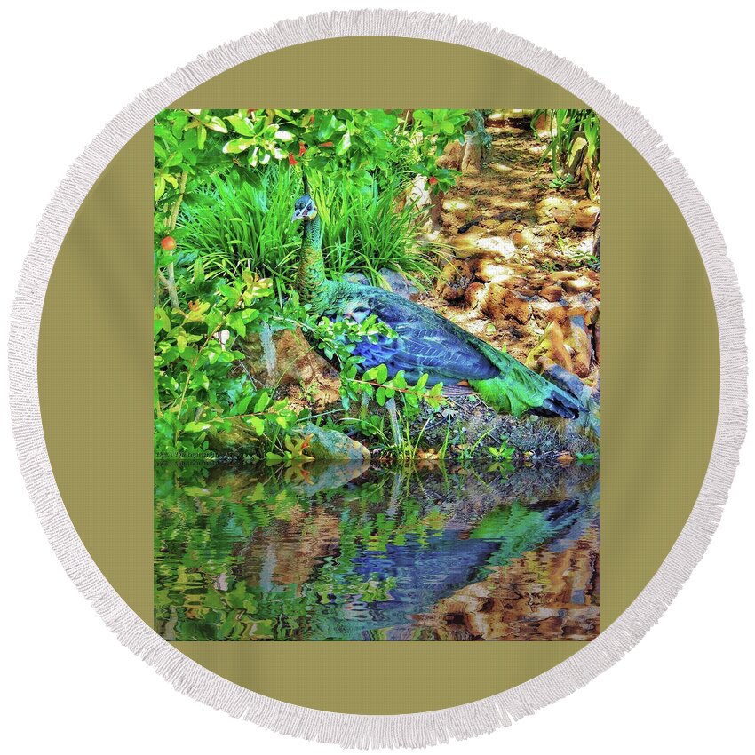 Peahen Round Beach Towel featuring the photograph Reflection of Beauty by Doris Aguirre