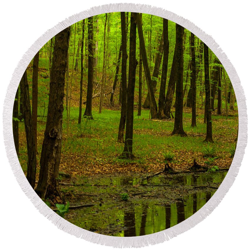 Reflections In The Woods Round Beach Towel featuring the photograph Reflections In The Woods by Karol Livote