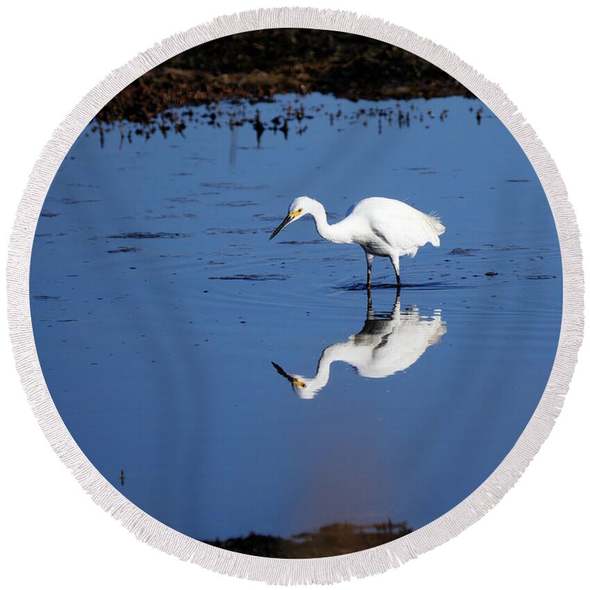 Birds Round Beach Towel featuring the photograph Reflections by Paul Ross