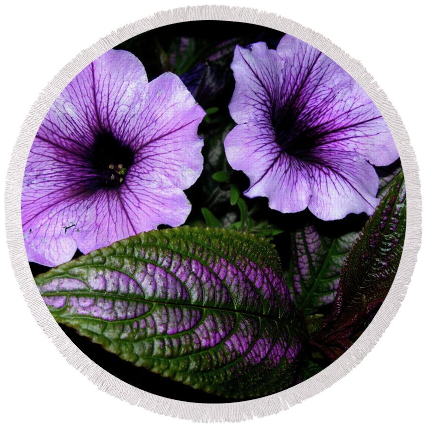 Petunias Round Beach Towel featuring the photograph Reflective Infusion by Randy Rosenberger