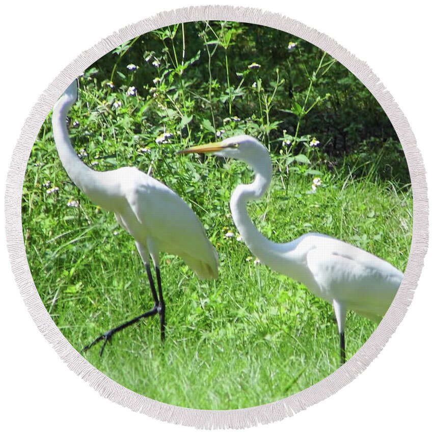 Egret Round Beach Towel featuring the photograph Regal Pair by D Hackett