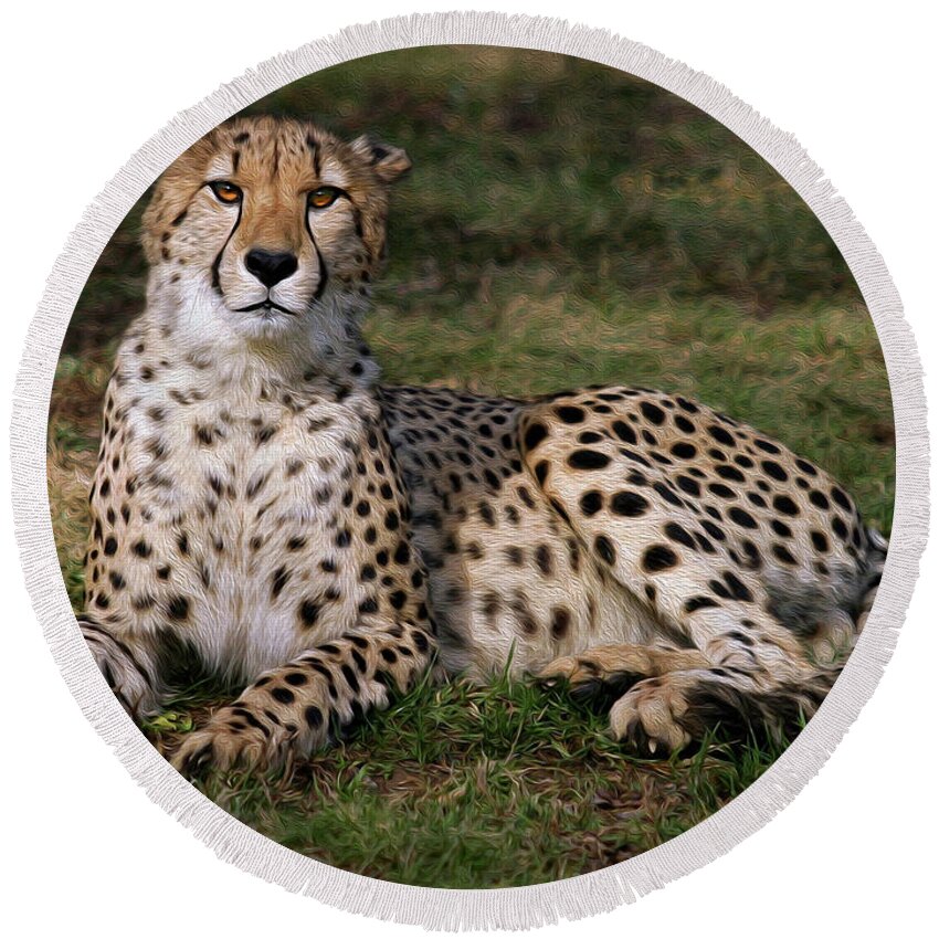 Cheetah Round Beach Towel featuring the photograph Regal Pose by Art Cole