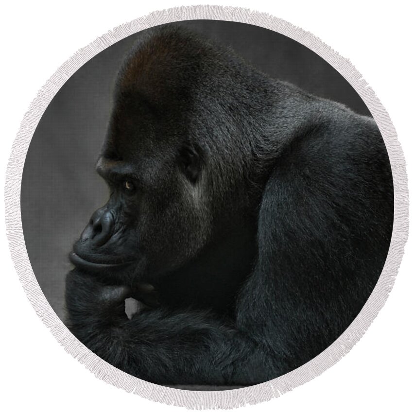 Portrait Round Beach Towel featuring the photograph Relaxed Silverback by Joachim G Pinkawa