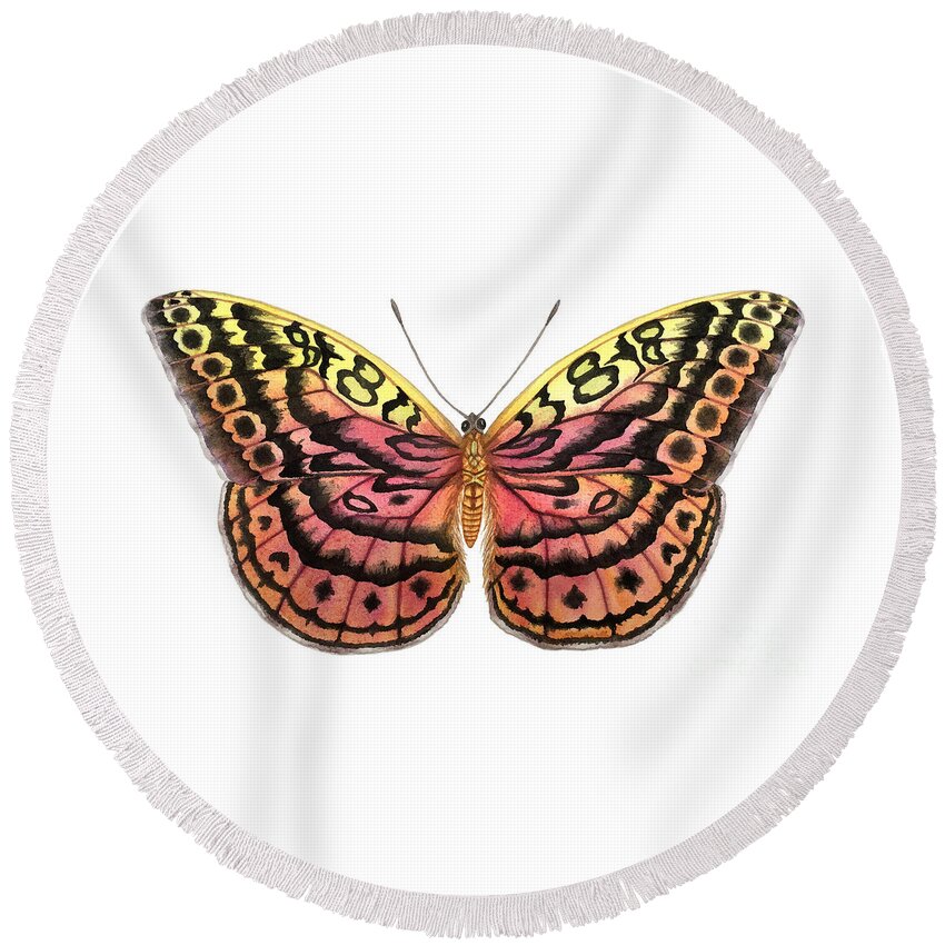 Butterfly Round Beach Towel featuring the painting Resplendent Forester Butterfly by Lucy Arnold