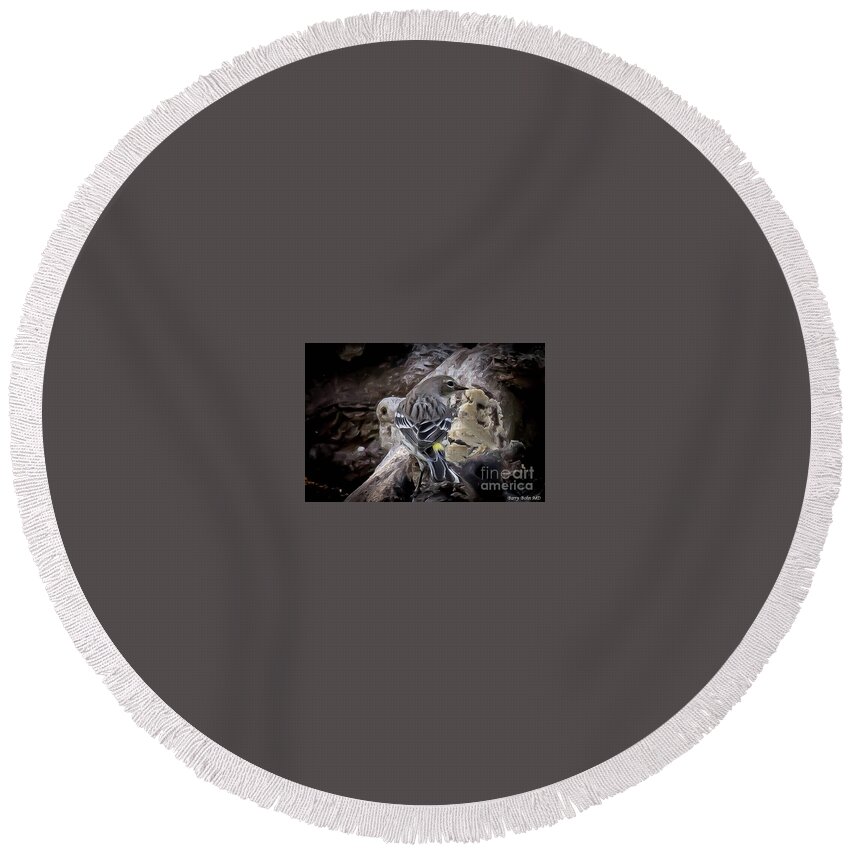 Nature Round Beach Towel featuring the photograph Yellow Rumped warbler by Barry Bohn
