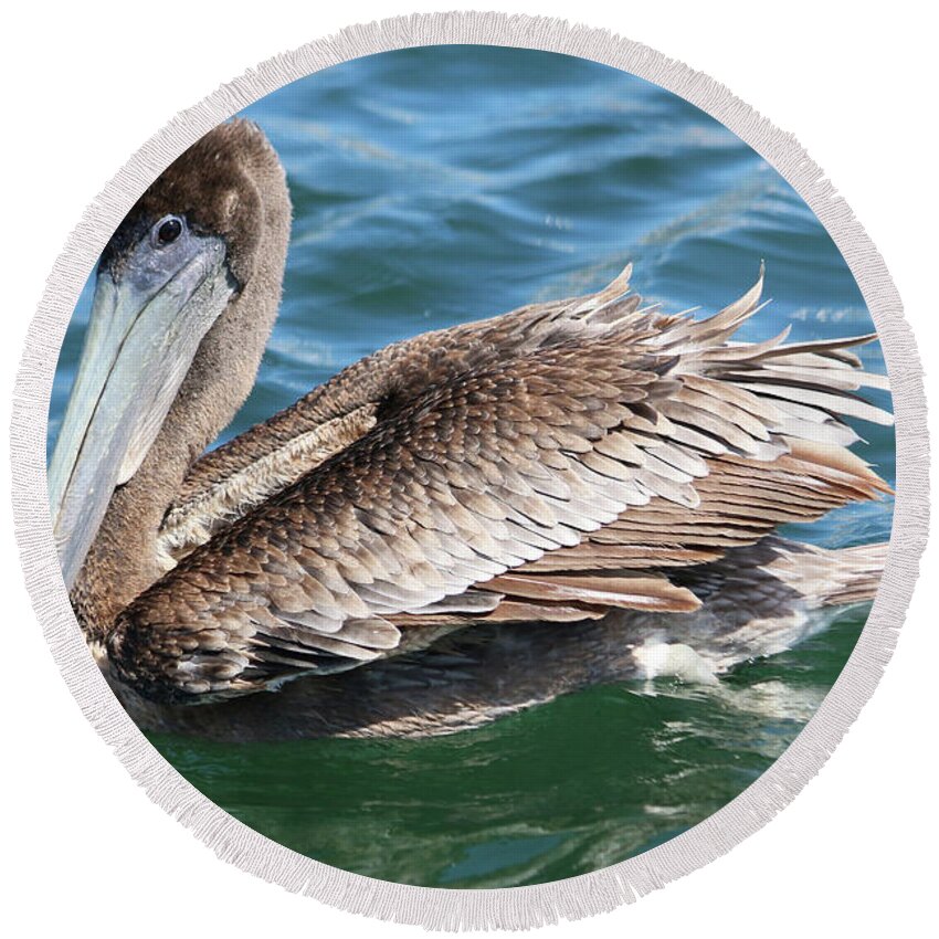 Pelican Round Beach Towel featuring the photograph Resting by DiDesigns Graphics