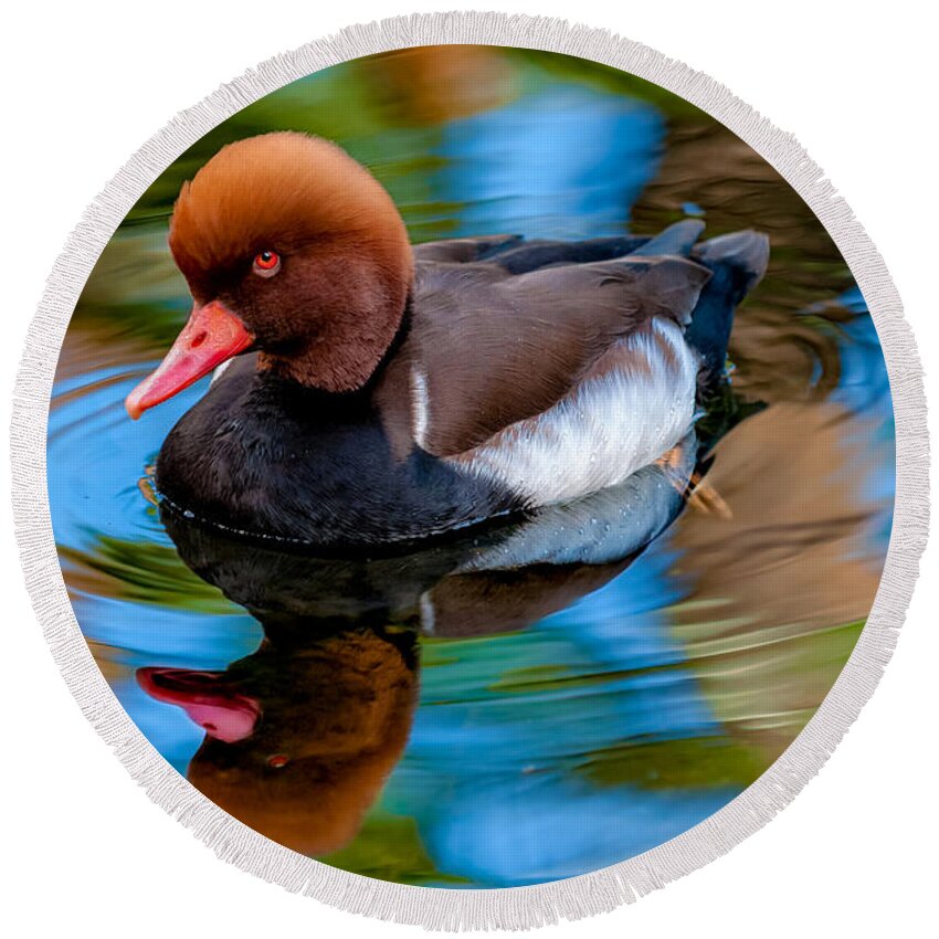 Bird Round Beach Towel featuring the photograph Resting In Pool Of Colors by Christopher Holmes