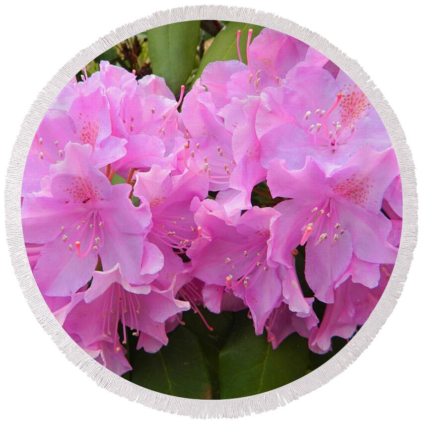 Rhododendron Beauty1 Round Beach Towel featuring the photograph Rhododendron Beauty1 by Emmy Marie Vickers