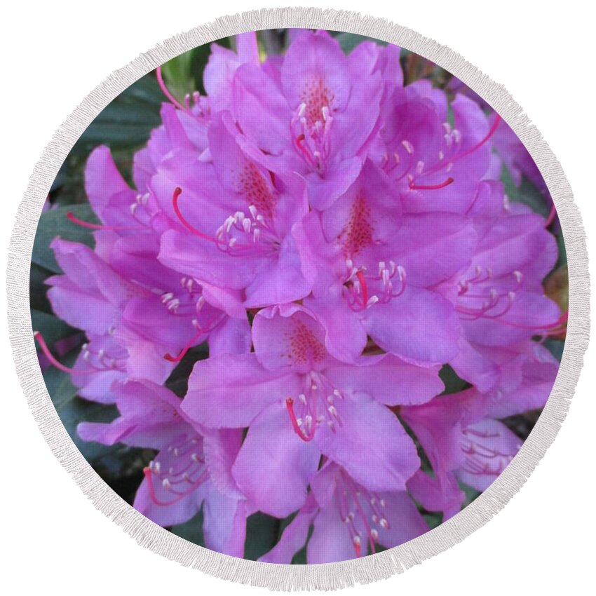 Purple Rhododendron Round Beach Towel featuring the photograph Rhododendron Bouquet by Martin Howard