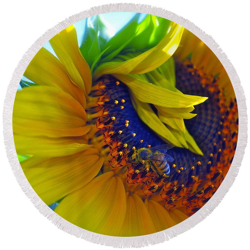 Sunflower Round Beach Towel featuring the photograph Rich in Pollen by Gwyn Newcombe