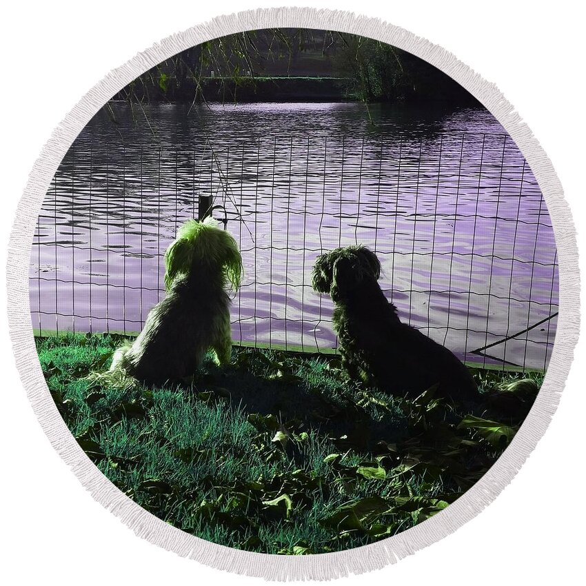 Dog Round Beach Towel featuring the photograph River Gazing In Emerald Green by Rowena Tutty