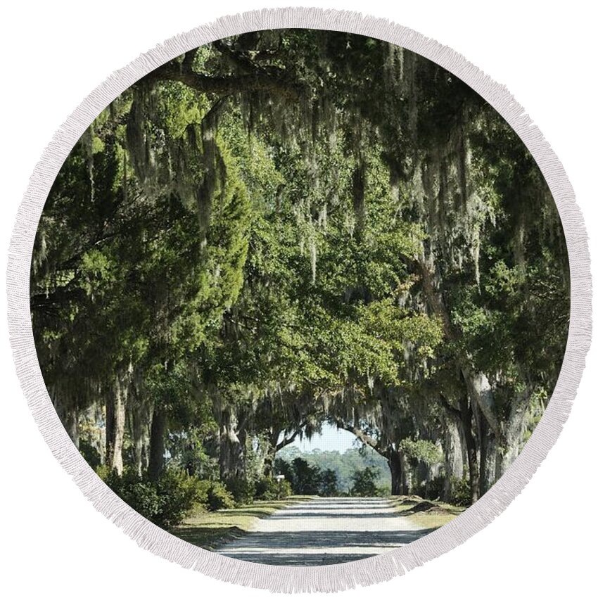 Allee Round Beach Towel featuring the photograph Road with Live Oaks by Bradford Martin