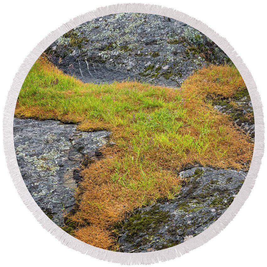 Oregon Coast Round Beach Towel featuring the photograph Rock And Grass by Tom Singleton