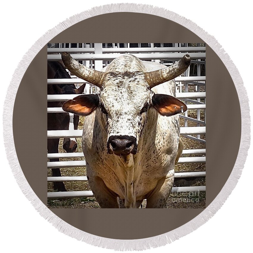 Wyoming Round Beach Towel featuring the photograph Rodeo Bull by Elisabeth Derichs