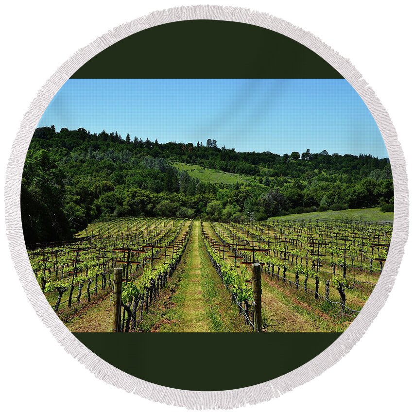 Vineyard Round Beach Towel featuring the photograph Rolling Hills Winery Grapevines  by Marilyn MacCrakin