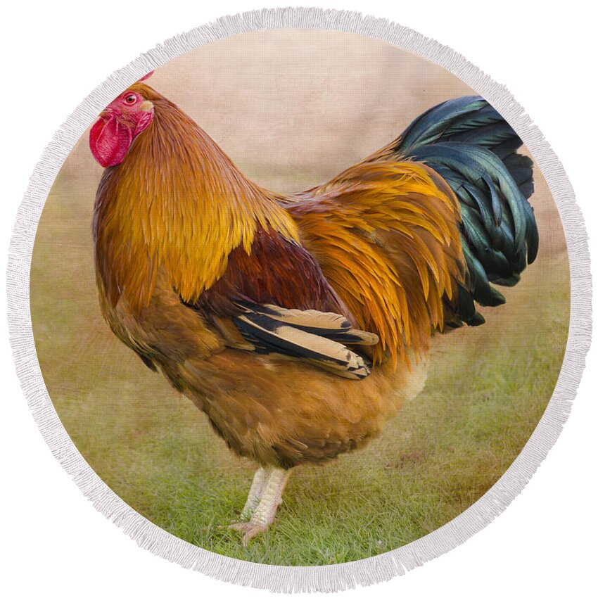 Rooster Round Beach Towel featuring the photograph Rooster by Linsey Williams
