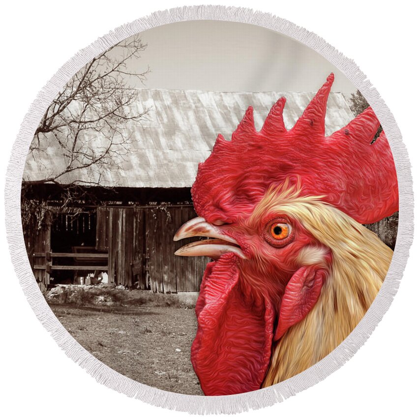 Chicken Round Beach Towel featuring the photograph Rooster Looks At Barn by Phil Perkins
