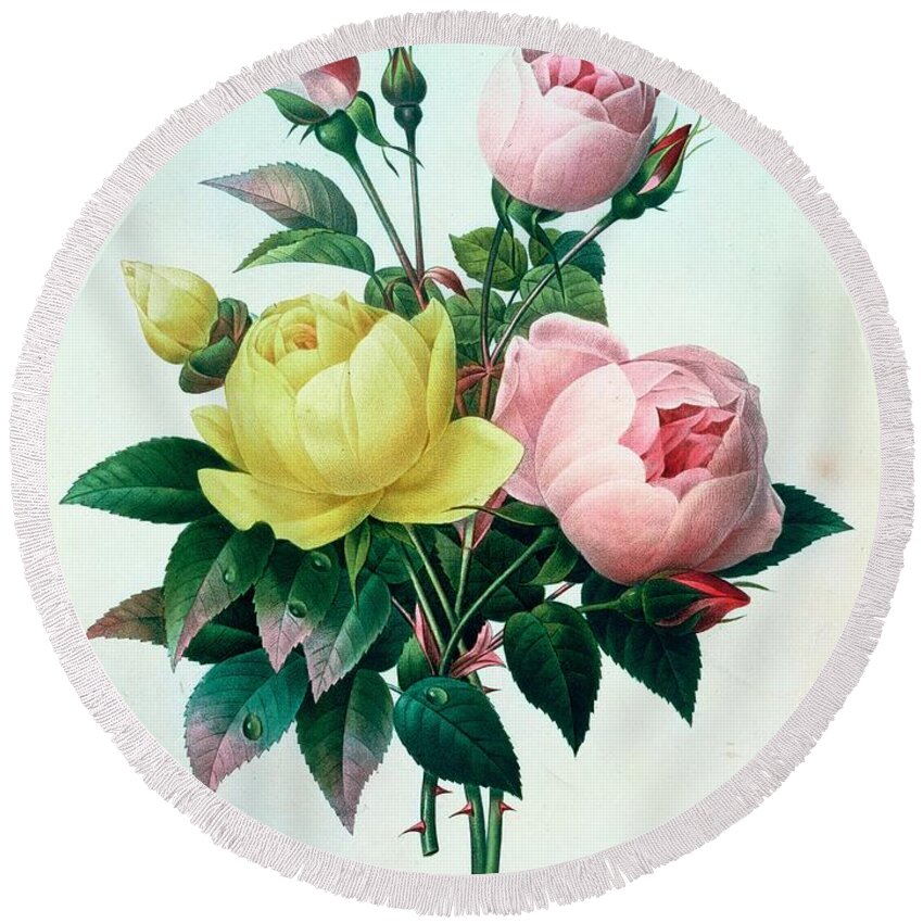 Rosa Round Beach Towel featuring the painting Rosa Lutea and Rosa Indica by Pierre Joseph Redoute