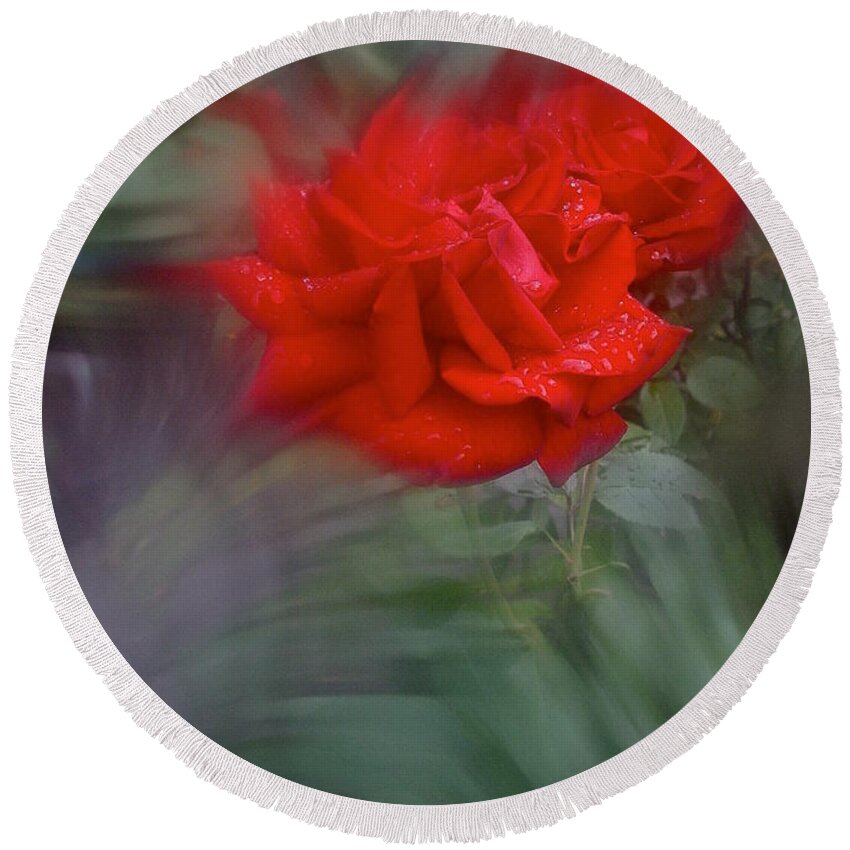 Rose Round Beach Towel featuring the photograph Rose Aug 2016 by Richard Cummings