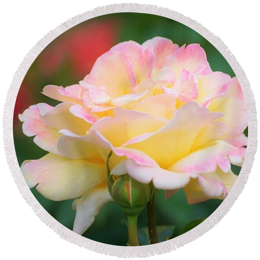 Rose Round Beach Towel featuring the photograph Rose Beauty by Merle Grenz