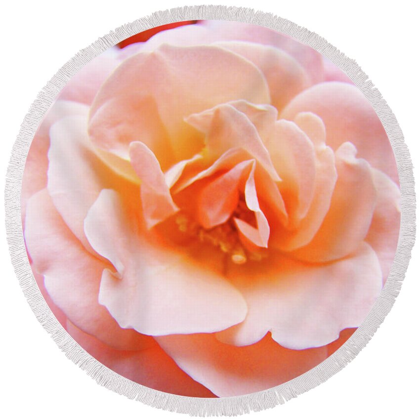 Rose Round Beach Towel featuring the photograph Rose Floral art print Peach Pink Roses Garden canvas Baslee Troutman by Patti Baslee