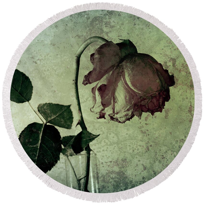 Rose Round Beach Towel featuring the photograph Rose Flower In A Vase 4 by Heiko Koehrer-Wagner