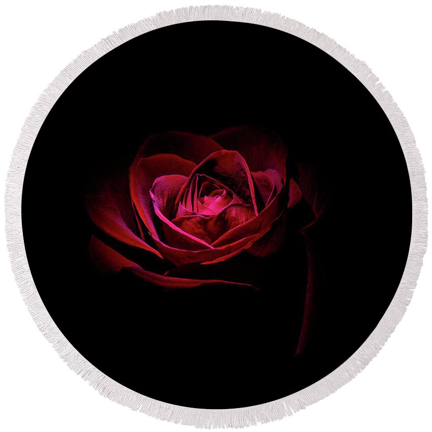 Flowers & Plants Round Beach Towel featuring the photograph Rose is a Rose by Doug Long