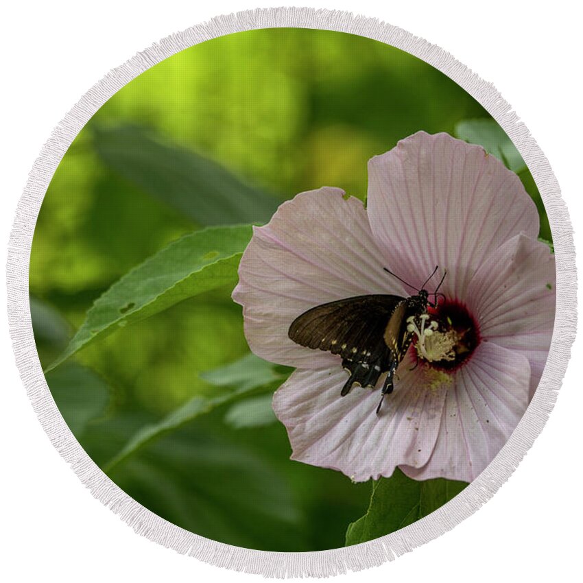 Flower Round Beach Towel featuring the photograph Rose Mallow by Reva Dow