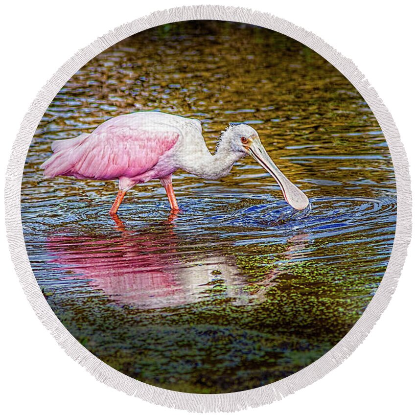 Photographs Round Beach Towel featuring the photograph Roseate Spoonbill by Felix Lai
