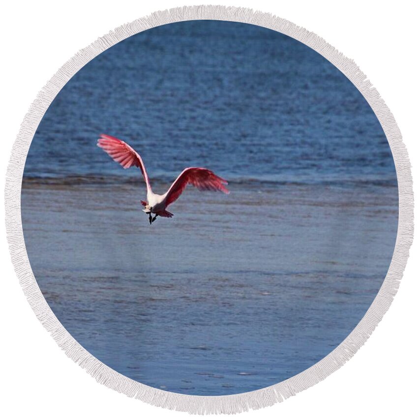 Roseate Spoonbill Round Beach Towel featuring the photograph Roseate Spoonbill in Flight IV by Michiale Schneider