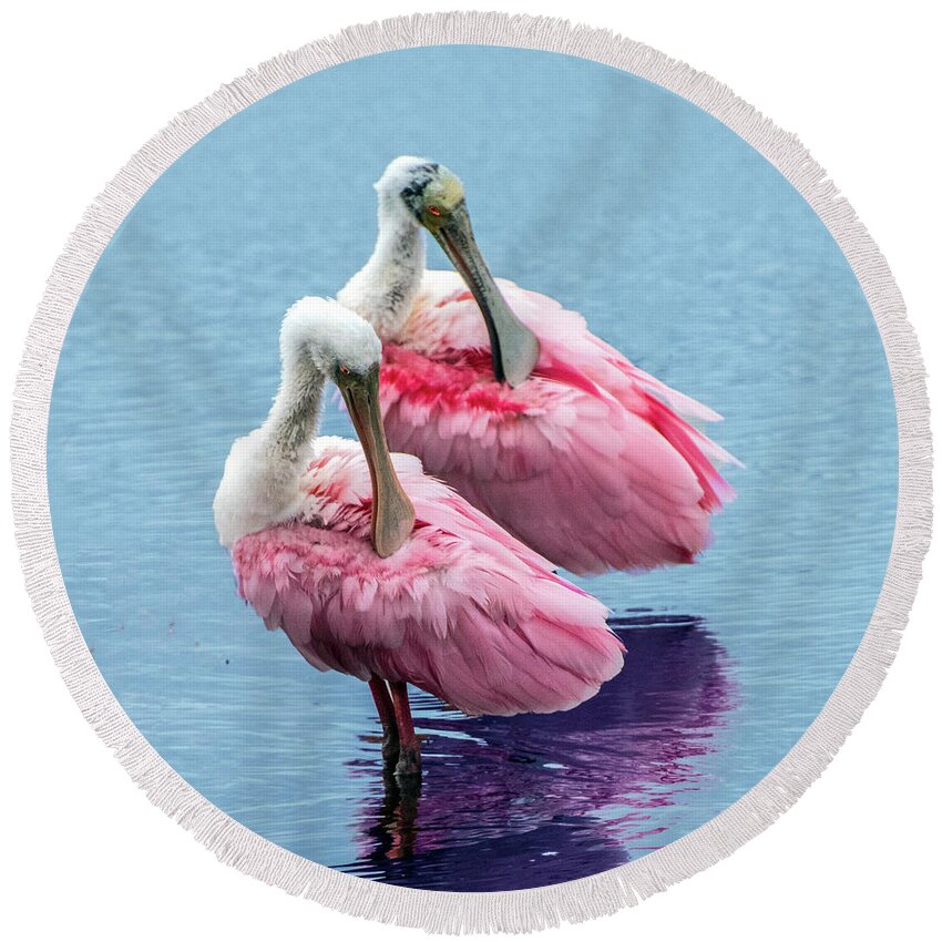 Bird Round Beach Towel featuring the photograph Roseate Spoonbill Pair by William Bitman
