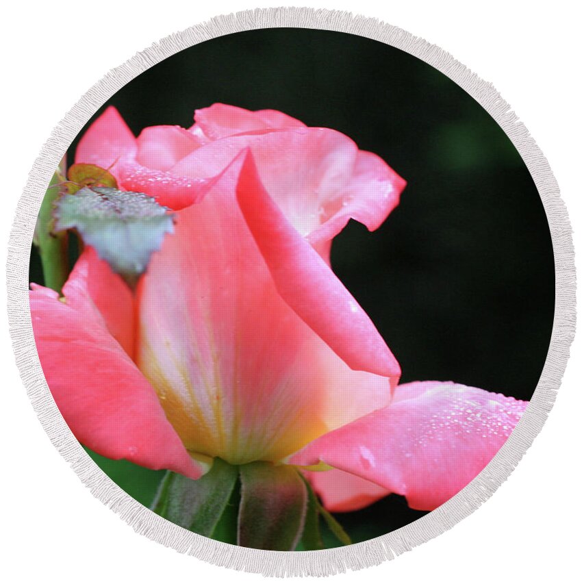Flower Round Beach Towel featuring the photograph Rosebud Delight by Smilin Eyes Treasures