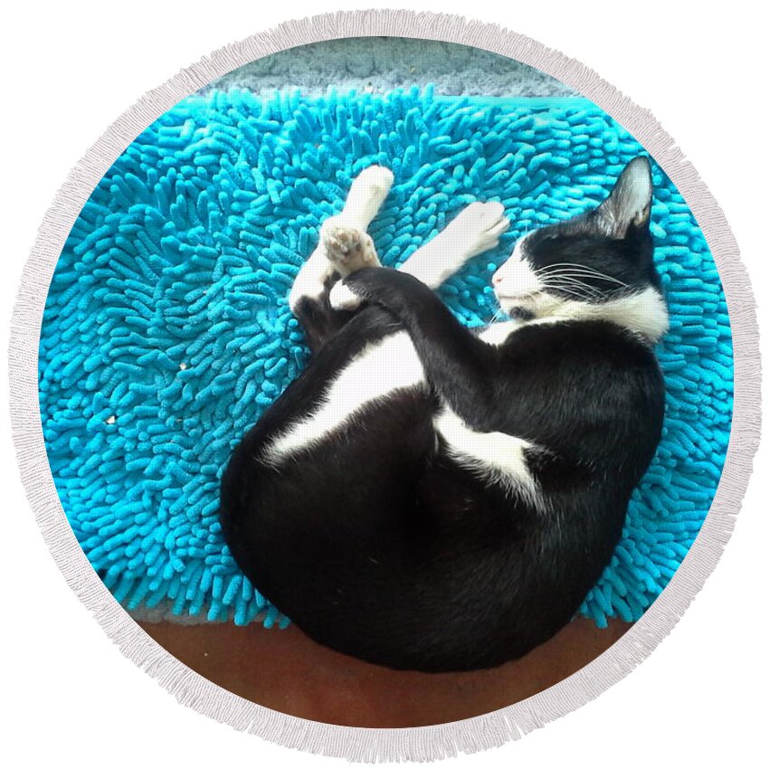 Cat Round Beach Towel featuring the photograph Round Of A Cat by Sukalya Chearanantana