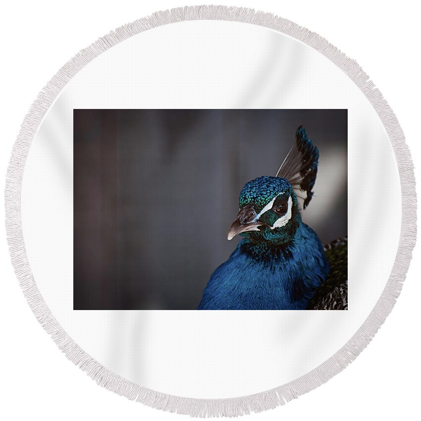 Photography Round Beach Towel featuring the photograph Royal Plume by Kathleen Messmer