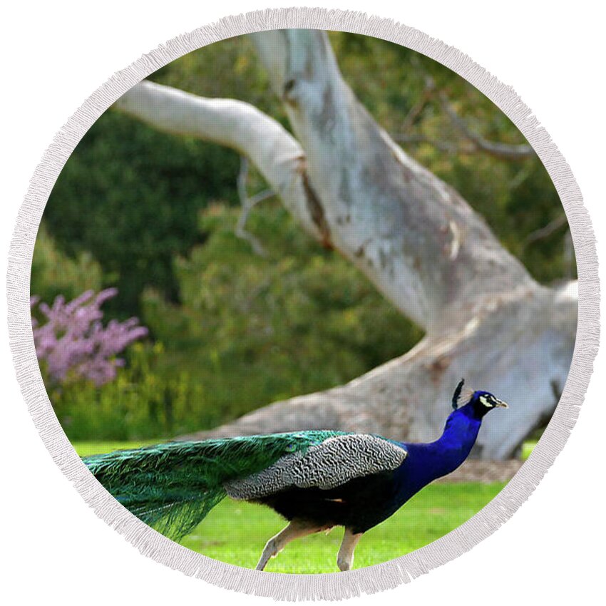 Peacock Round Beach Towel featuring the photograph Royalty by Evelyn Tambour