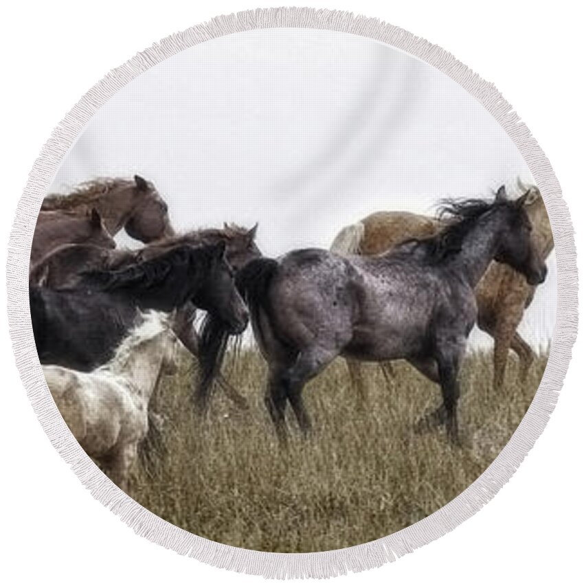 Horses Round Beach Towel featuring the photograph Running on November's Wind by Amanda Smith