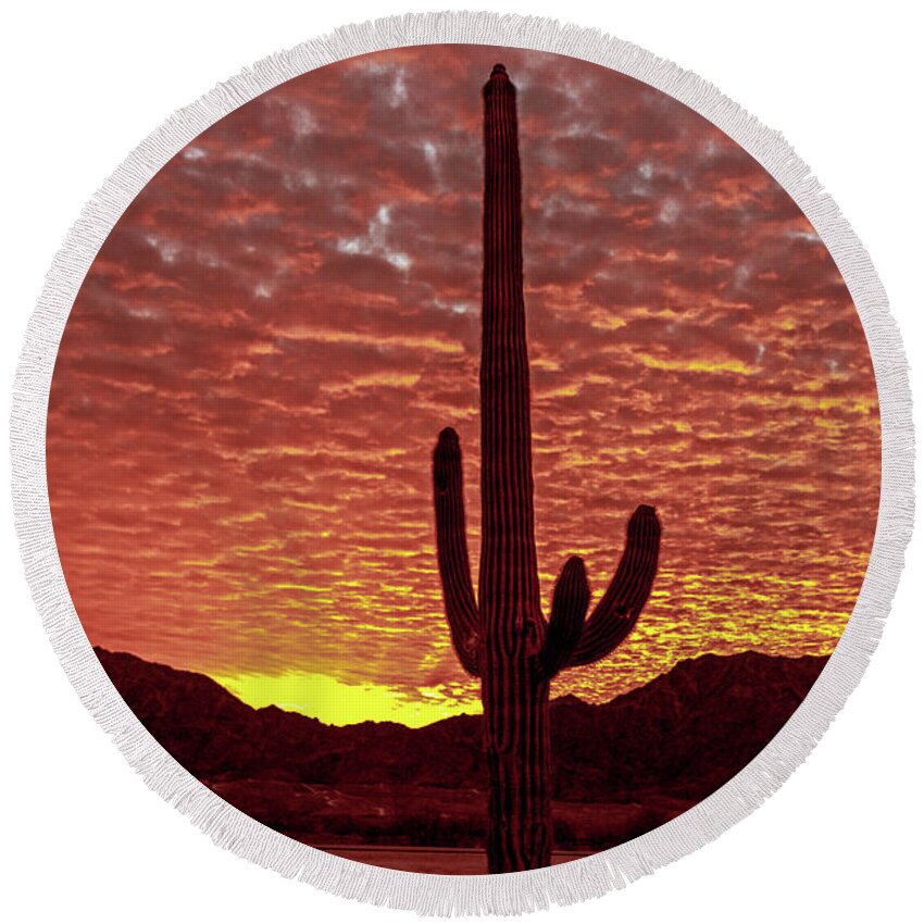 Cactus Round Beach Towel featuring the photograph Saguaro Sunrise by Robert Bales